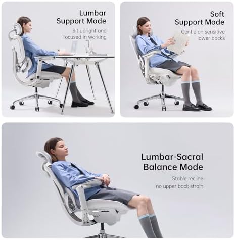SIHOO Doro C300 Pro V2 Ergonomic Office Chair, Full-Body Adaptive Support