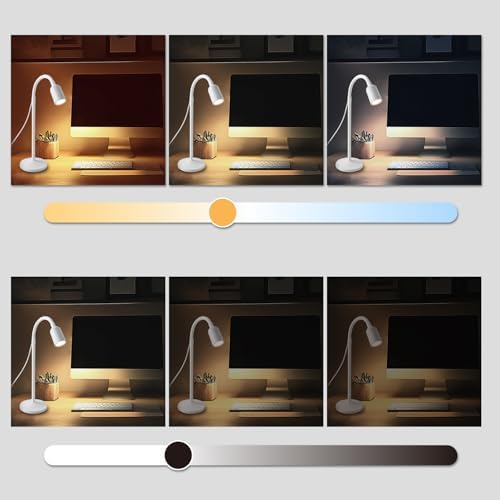 DAMI Dimmable LED Desk Lamp USB Powered, 3 Color Modes Flexible Gooseneck Reading Light, Eye-Caring Small Table Lamp for Home Office Study Bedroom Dorm Bedside - White