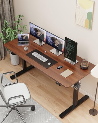 55" Large Electric Standing Desk Adjustable Height for Home Office