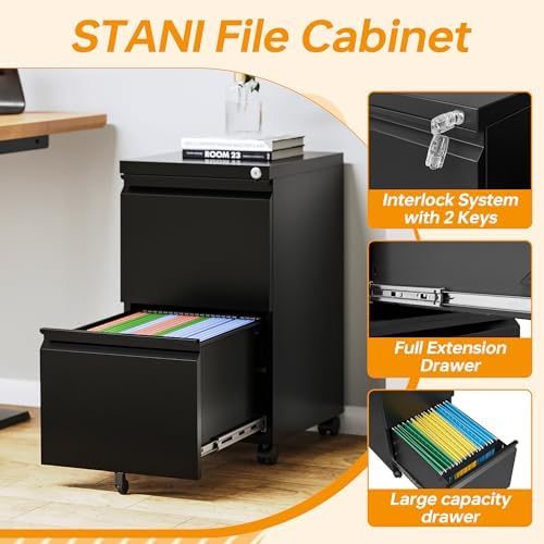 2 Drawer File Cabinet On Wheels Mobile Cabinet with Lock Under Desk Metal Filing Cabinet On Rollers Small Rolling File Cabinet Black Printer Stand for Home Office Fully Assembled