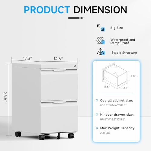 2 Drawer Mobile File Cabinet with Lock, Rolling File Cabinet with Wheels