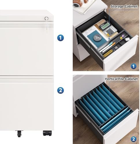 DEVAISE 2 Drawer File Cabinet with Lock for Home Office, Fully Assembled