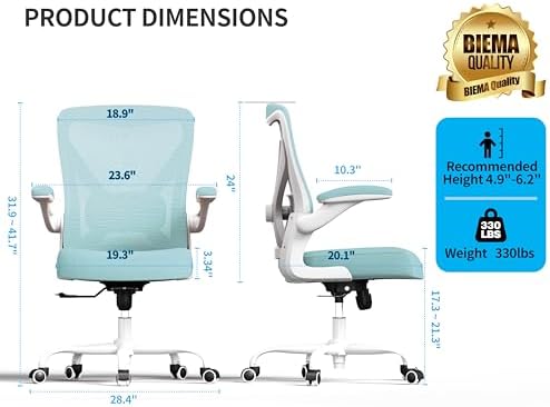 Ergalithic Office Chair: Mesh Ergonomic Desk Chair with 3D Lumbar & Swivel