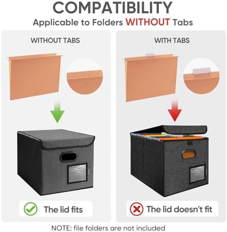 BALEINE File Organizer Box with Lid, Collapsible Hanging File Storage Box