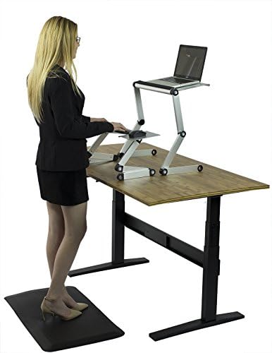 WorkEZ Adjustable Standing Desk Converter w/2 Fans & 3 USB Ports, Sit to Stand Desk Riser Monitor Standing Computer Desk, Height & Angle Negative Tilt