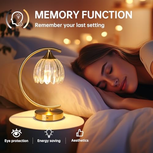 Shenmoyl Set of 2 Tulip Table Lamp, 5200mAh Cordless Touch Control Table Lamp with 3 Color Temps & Stepless Dimming, Rechargeable Battery Table Lamp for Living Room, Bedroom, Shelf (Transparent Tulip)