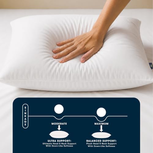 Serta Down Illusion Balanced Support Cotton Pillows,Standard/Queen (2 Pack)