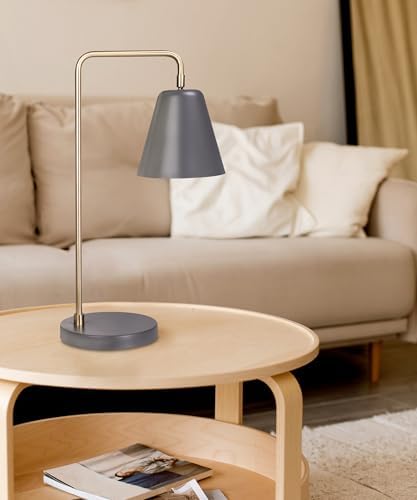 HarvestLand Steady Desk Lamp, Reading Lamp for Home Office, Grey Brass