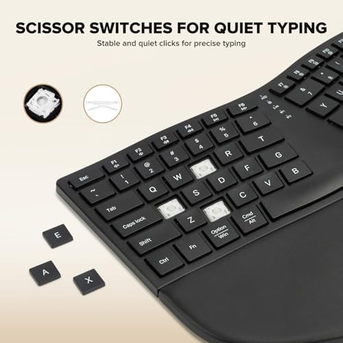DELUX Ergonomic Wireless Keyboard, Ultra-Thin Split Ergo Keyboard (GM909)
