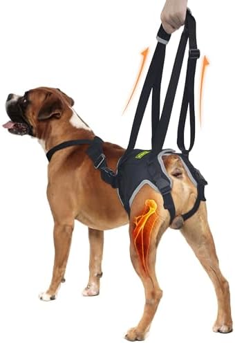 Dog Lift Harness for Medium Dogs, Hind Leg Assistance