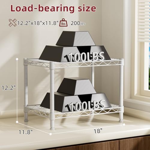 SINGAYE Small Wire 2 Shelves Pantry Metal Shelf Floor Organizer Under Desk