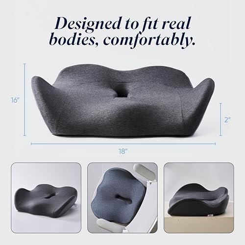 OneCushion Advanced Ergonomic Seat Cushion for Office Chair with Firm AlignCore Foam for All-Day Comfort, Posture Support & Pressure Relief for Work or Home Use - Sky Blue