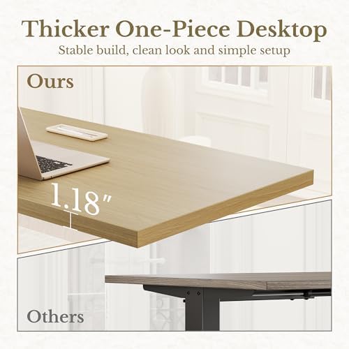 ErGear 48 X 24 Inch Height Adjustable Electric Standing Desk, Light Walnut