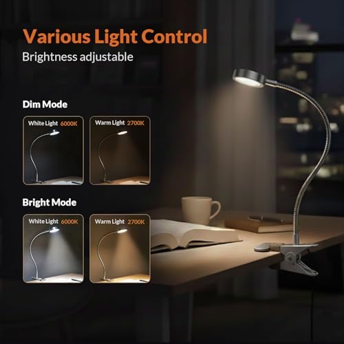 LEPOWER Clip on Light, Book Reading Lamp for Desk, Bed Headboard and Dorm
