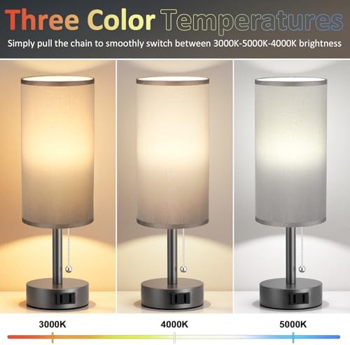 Dark Grey Bedside Table Lamps Set of 2 - Bedroom Lamp for Desk, AC Outlet