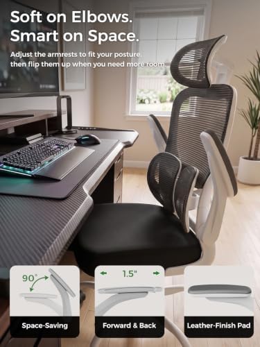 Ergonomic Office Desk Chair, Adjustable Dual Lumbar Support & Thick Seat