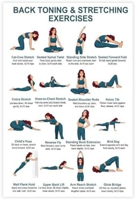 Back Exercises Seated And Standing Back Exercise Upper And Lower Home Workout Chart Gentle No Equipment Exercise Canvas Poster Bedroom Decor Room Decor Unframe 24x36inch