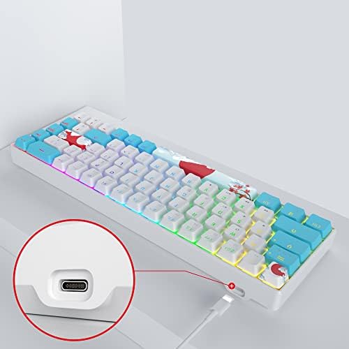 Owpkeenthy Wired 65% Mechanical Gaming Keyboard with Blue Switch 60% Ultra Compact RGB Gaming Keyboard Backlit Keys N-Key Rollover for PC PS5 Xbox(Blue/ 68 Blue Switch)