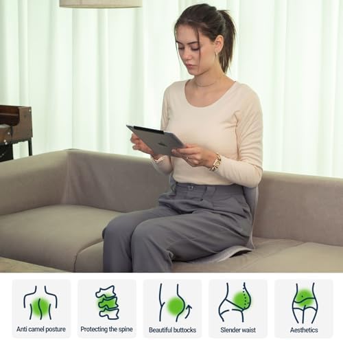 Season Guard Ergonomic Lumbar Support Pillow, Back Pain Posture Corrector