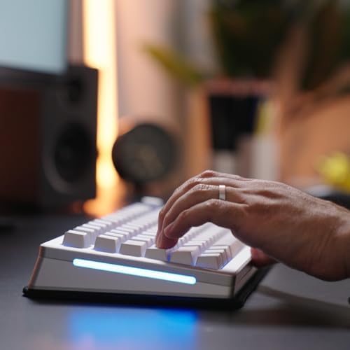 GLORIOUS Gaming Sound Dampening Keyboard Mat - Stitched Edges, Absorbs Keyboard Sounds & Vibrations, Machine Washable, Non-Slip Base, Fits Most Compact Keybaords - Black