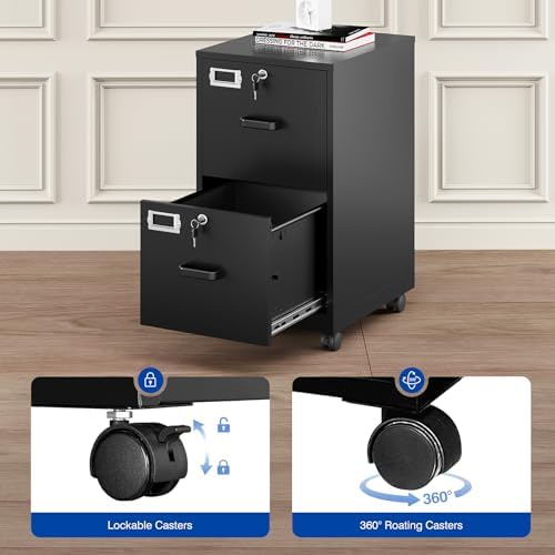 BYNSOE 2 Drawers File Cabinet with Lock Metal Vertical File Cabient with Wheels Mobile File Cabinet for Office Home Legal/Letter/a4 Size Require Assembly