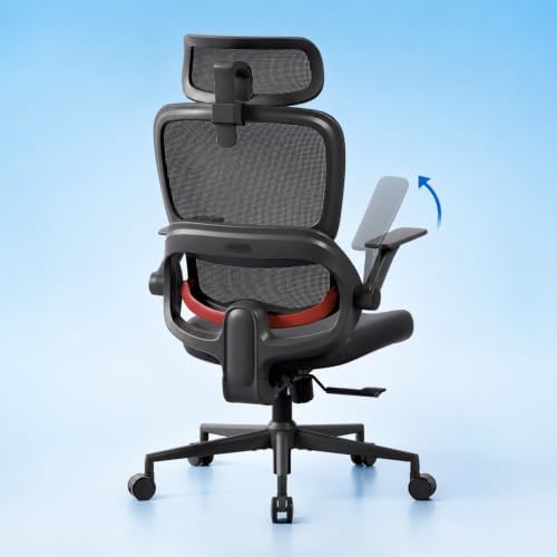 SIHOO B100 SE Ergonomic Office Chair, Desk Chair with Lumbar Support
