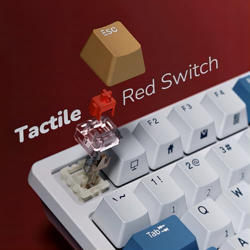 RK ROYAL KLUDGE RK98 Wireless Mechanical Keyboard, 3750mAh, 96% Layout
