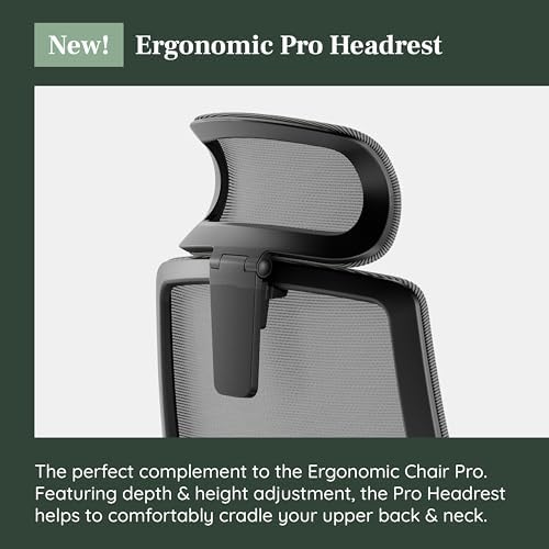 Branch Adjustable Ergonomic PRO Headrest Attachment