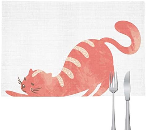 DIYthinker Stretching Fat Cat Animal Watercolor Placemat Pad Kitchen Woven Heat Resistant Cushion Rectangle