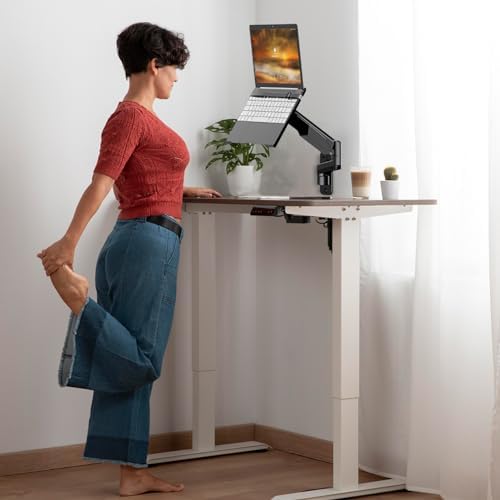 2-in-1 Gas Spring Laptop Wall Mount for 12"-17" Notebook/13"-32" Screen