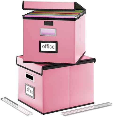 File Organizer Box with Lids, Collapsible File Folder Organizer