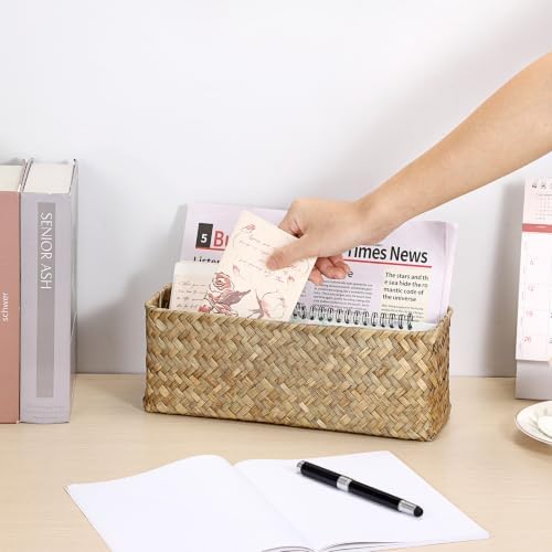 BTSKY 2 Slots Mail Organizer Countertop, Seagrass Mail Holder for Home