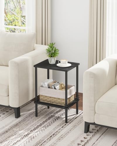 DGSANDGO Modern Small Side Table with Storage, 2-Tier Black End Table