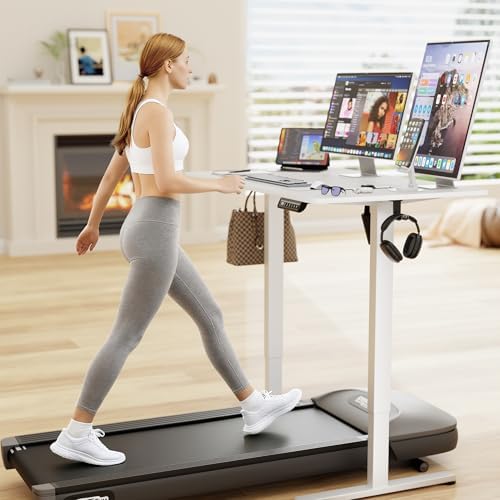 Furmax 40 Inches Electric Standing Desk, Home Office Desk with Phone Holder