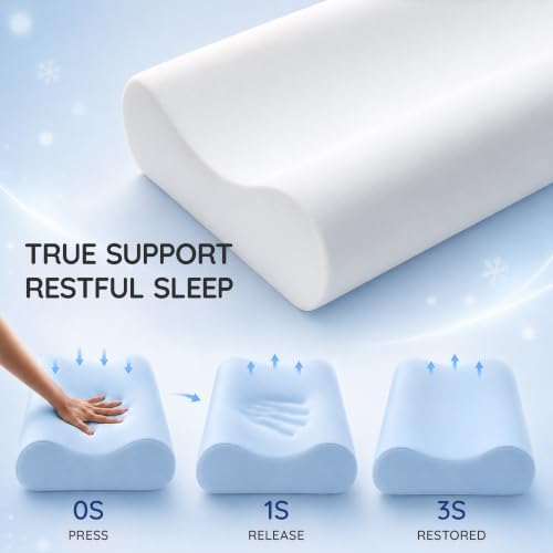 AM AEROMAX Queen Contour Memory Foam Pillow for Neck Pain Relief