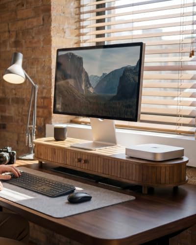 42 Inch Curved Dual Monitor Stand Riser with Storage Desk Shelf