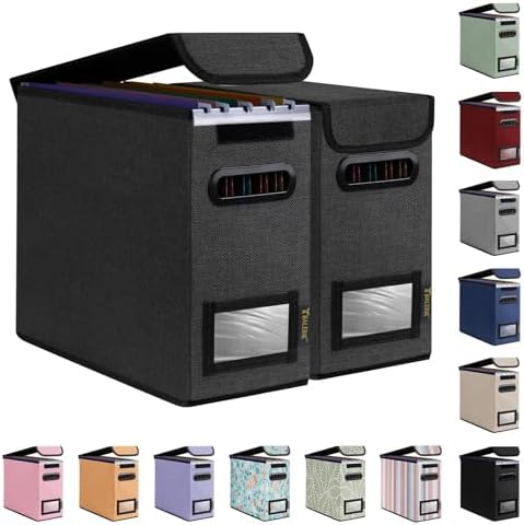 BALEINE File Organizer Box with Lid, Collapsible Hanging File Storage Box