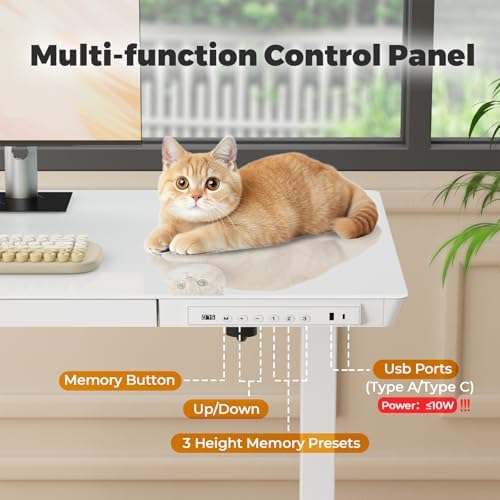 32" Glass Standing Desk with Drawer, Small Electric Desk