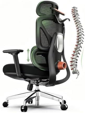 Ergonomic Mesh Office Chair, Desk Chairs with Adjustable Lumbar Support, 4D Flip-up Arms & 3D Headrest, Comfy High Back Breathable Mesh Computer Chair for Home Office, 400lbs (Black)