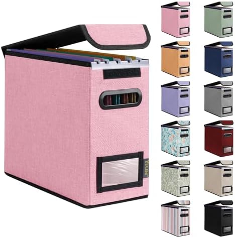 BALEINE File Organizer Box with Lid, Collapsible Hanging File Storage Box