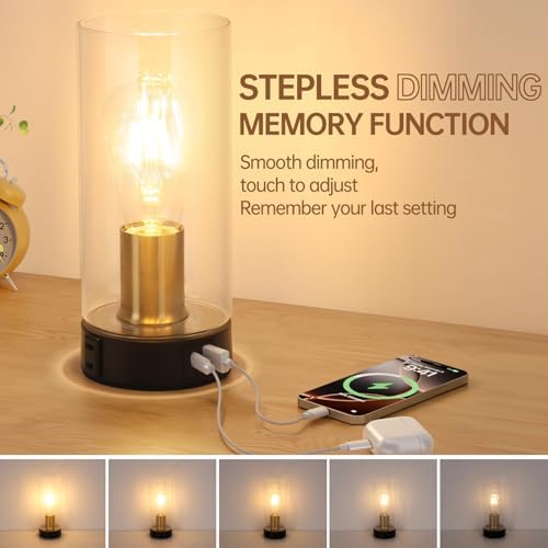 Touch Control Bedside Lamp with Charging Station，Black Gold Small Lamp