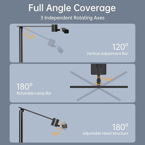 deeloop LED Desk Lamp, 2-in-1 Clamp Light, CRI95+, Asymmetric Lighting