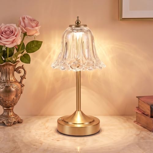 Cordless Table Lamp, Rechargeable Clear Glass Tulip Flower Touch Lamp