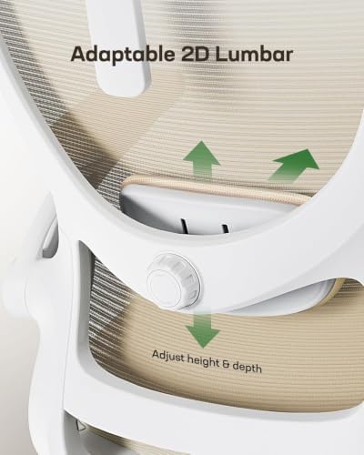 Marsail Ergonomic Office Chair with 3D Armrests, Pack of 2