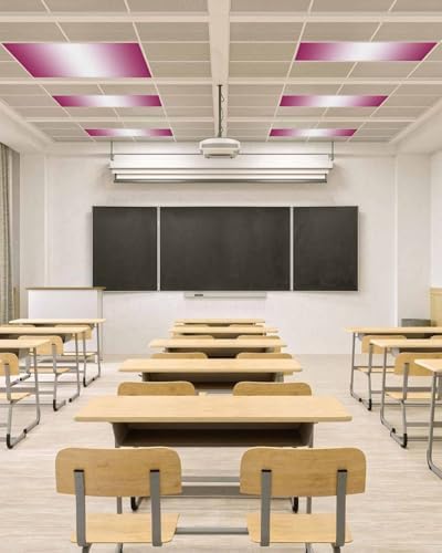 Rose Red Magnetic Fluorescent Light Covers for Ceiling Lights 2 x 4 Feet,White Gradient Minimalist Geometric Aesthetics Office Classroom Kitchen Drop Ceiling Light Covers Lighting Filters Shade 1 Pack