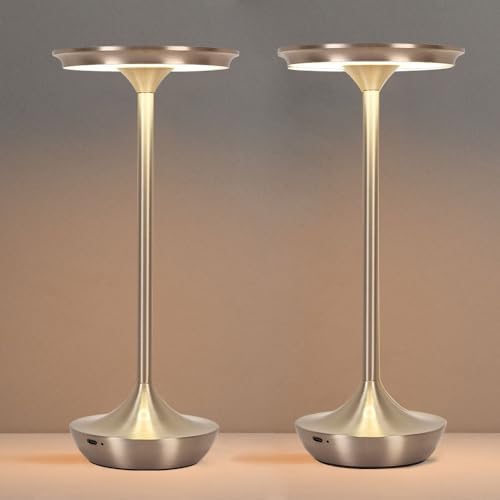 Cordless Table Lamp Set of 2,Portable Rechargeable 6000mAh Outdoor LED Table Lamps,3 Color Stepless Dimming Touch Battery Powered Lamp, Table Light for Restaurant/Patio/Camping/Bedroom(Silver)
