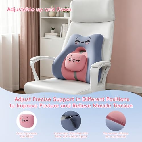 BEBAS Ergonomic Memoery Foam Lumbar Support Pillow for Car & Office, Blue
