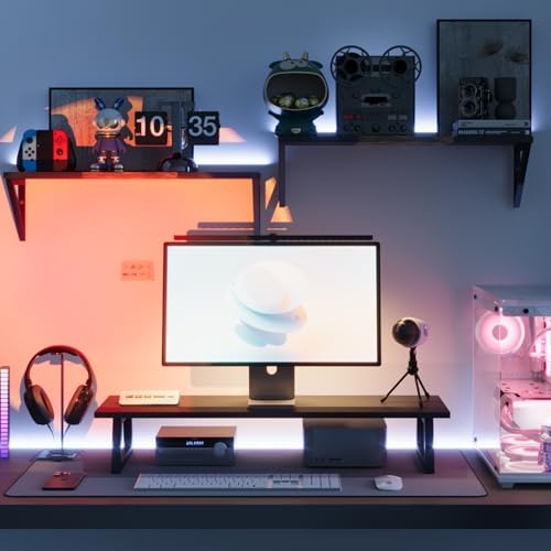 TEAMIX 31.5 inch Dual Monitor Stand Riser, TV Riser, Black Desk Organizer