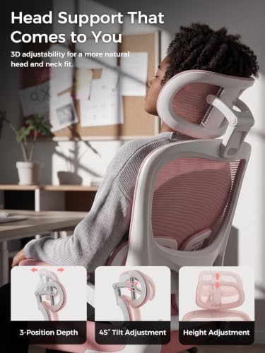 Ergonomic Office Desk Chair, Adjustable Dual Lumbar Support & Thick Seat