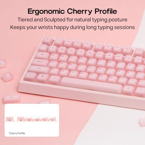 EPOMAKER AegisSil Keycap Set, Silicone Material, Cherry Profile, 113 Keys, 65%/75%/Full Size, Custom Keyboard Keycaps Set for Cherry MX, Kailh, Outemu, Gateron Mechanical Gaming Keyboard (Pink)